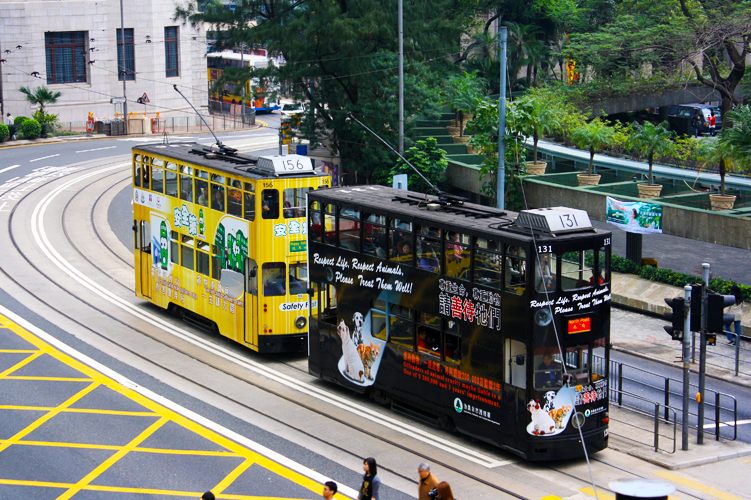 Travel Guide to Hong Kong