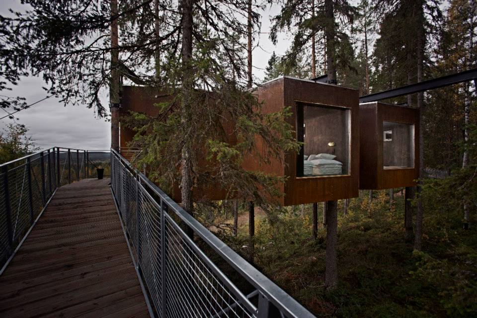 The Tree Hotel