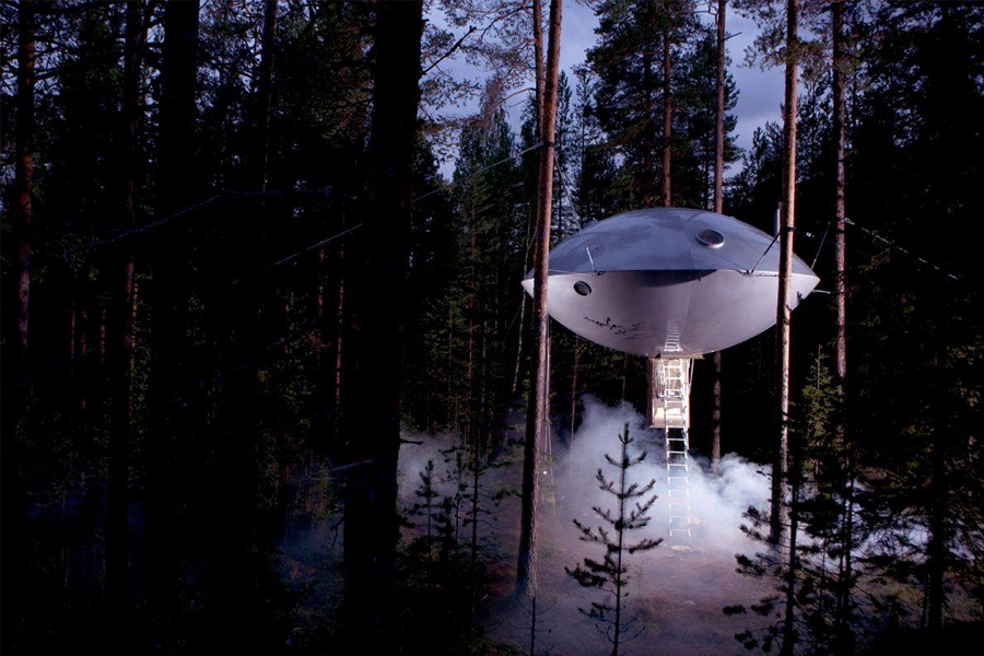 The Tree Hotel